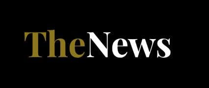TheNews Logo